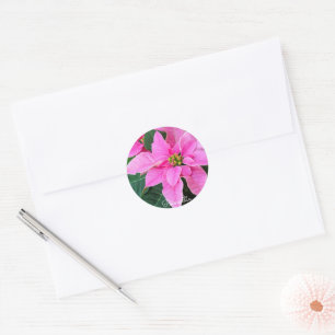 Poinsettia [Round Seal] Classic Round Sticker