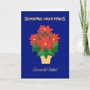 Poinsettias Season's Greetings Across the Miles Holiday Card