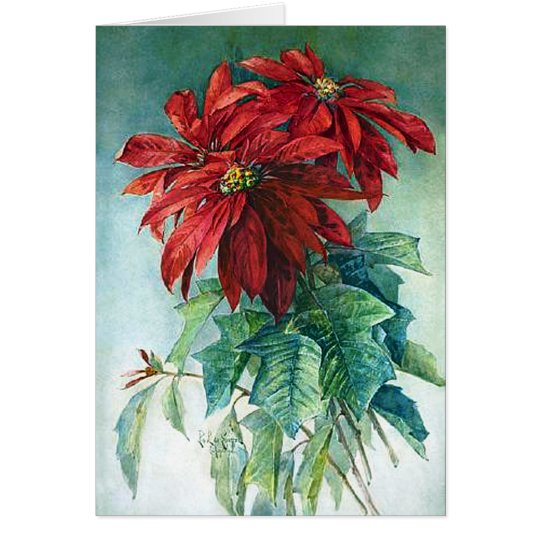 Poinsettias Watercolor Fine Art Greeting Card
