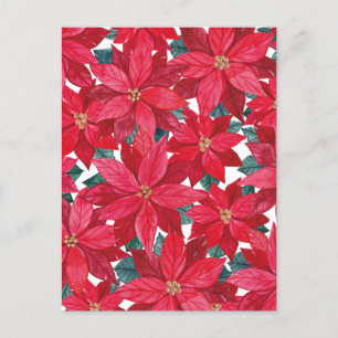 Poinsettias Winter Shelter Postcard