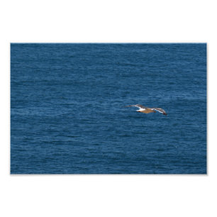 Point Dume Photo Print