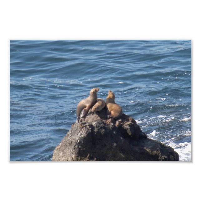 Point Dume State Beach  Photo Print (Front)
