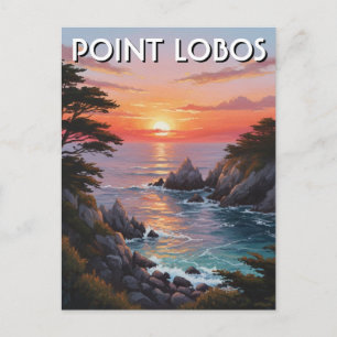 Point Lobos California Travel Postcard