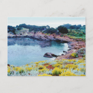 Point Lobos Postcard