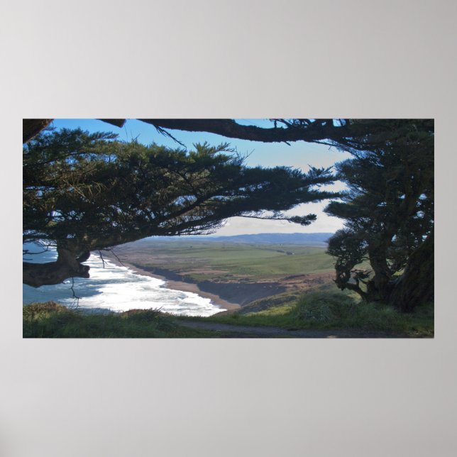 Point Reyes Among Trees Poster (Front)
