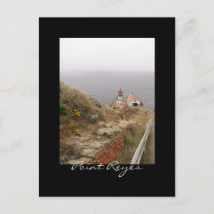 Point Reyes Lighthouse Postcard