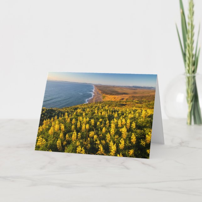 Point Reyes National Seashore California Card (Front)