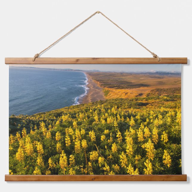 Point Reyes National Seashore California Hanging Tapestry (Front)