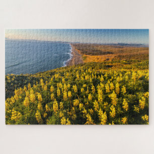 Point Reyes National Seashore California Jigsaw Puzzle