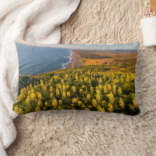 Point Reyes National Seashore California Lumbar Cushion