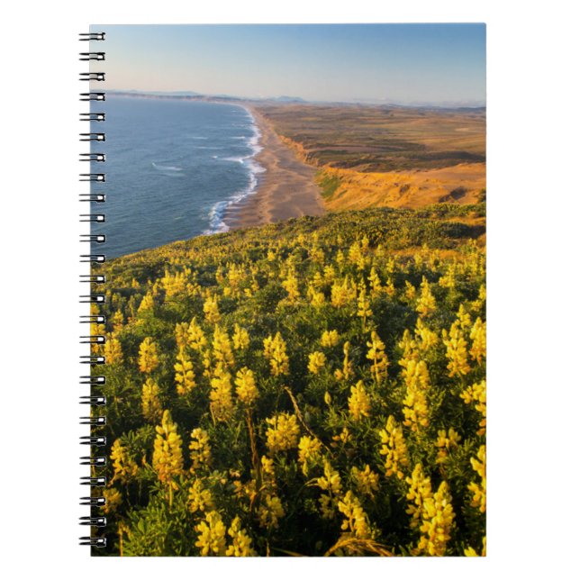 Point Reyes National Seashore California Notebook (Front)