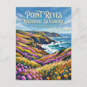 Point Reyes National Seashore California Postcard