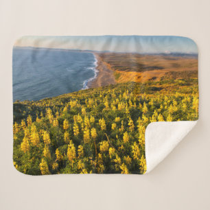 Point Reyes National Seashore California Sherpa Blanket
