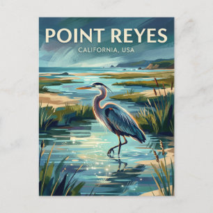 Point Reyes National Seashore USA Postcard