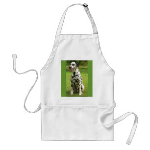 point standard apron