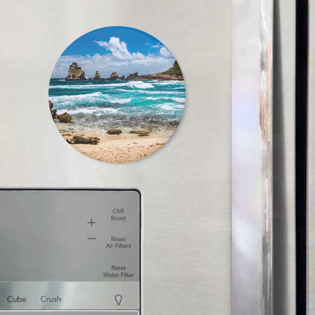 Pointe des Chateaux, Grande-Terre, Guadeloupe Magnet (In Situ (Fridge))