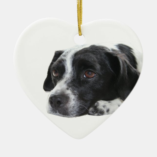 Pointer Dog Ornament (Front)