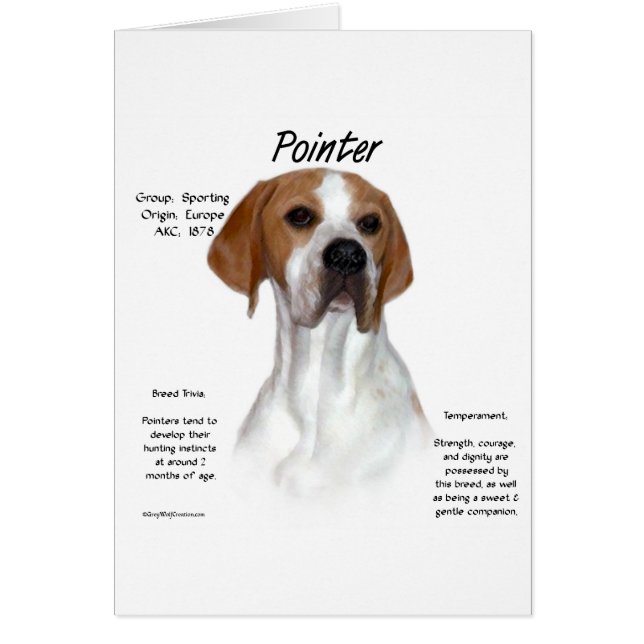 Pointer History Design (Front)