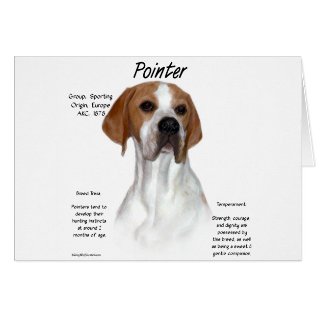 Pointer History Design (Front Horizontal)