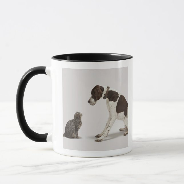 Pointer looking down at cat mug (Left)