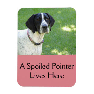 Pointer Love Magnet