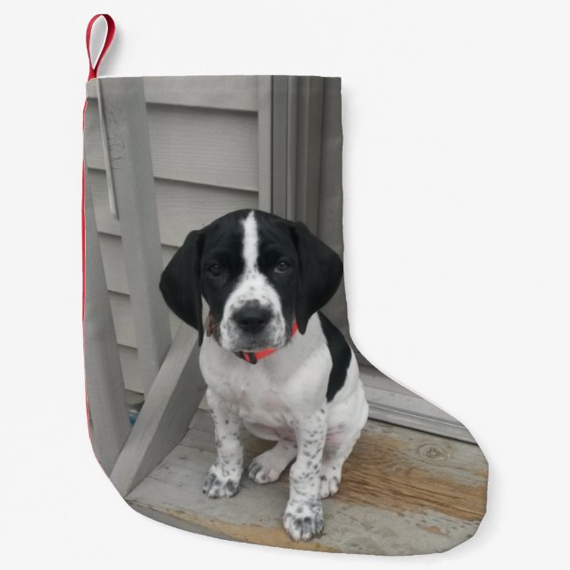 Pointer Love Small Christmas Stocking (Front)