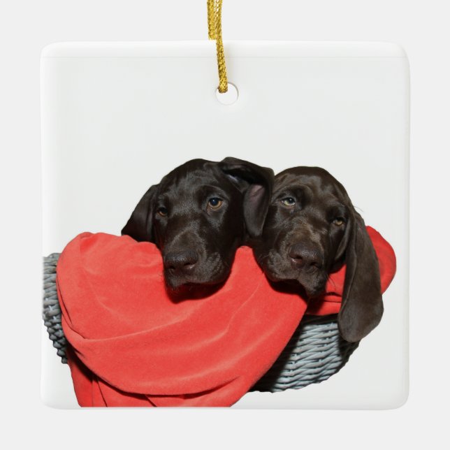 Pointer Sisters in a basket Ceramic Ornament (Front)