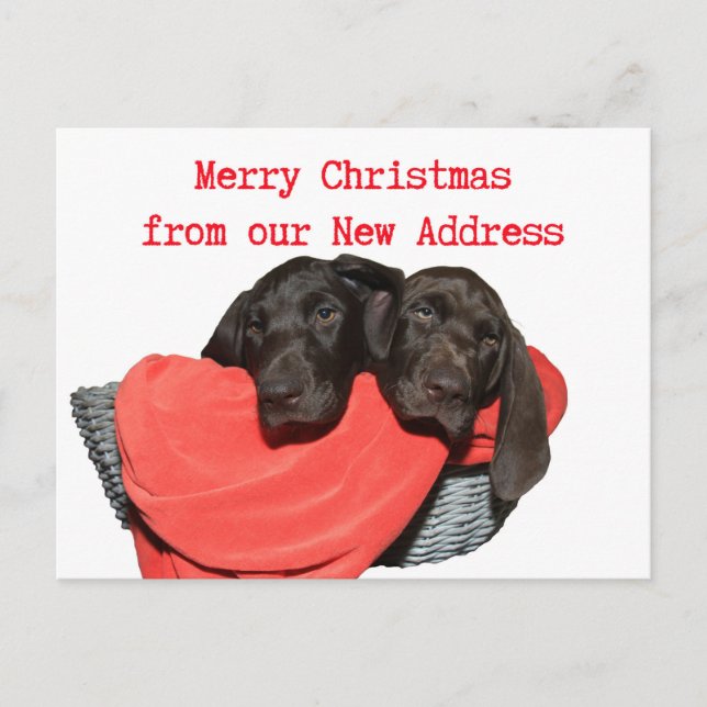 Pointer Sisters New Address Christmas Postcard (Front)