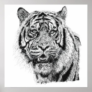Pointillism Tiger Head Black & White Wildlife Art  Poster