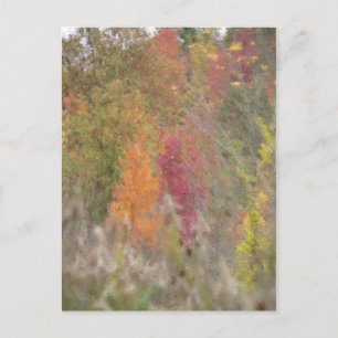 "Pointillist's Autumn" Postcard