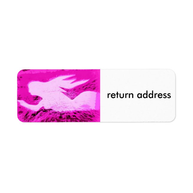 pointing pink mermaid return address label (Front)