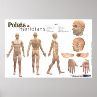 Points and meridians of the body - Annotated Poster