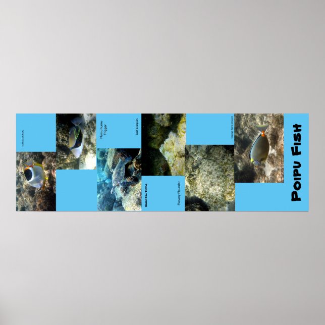 Poipu Fish Poster (Front)