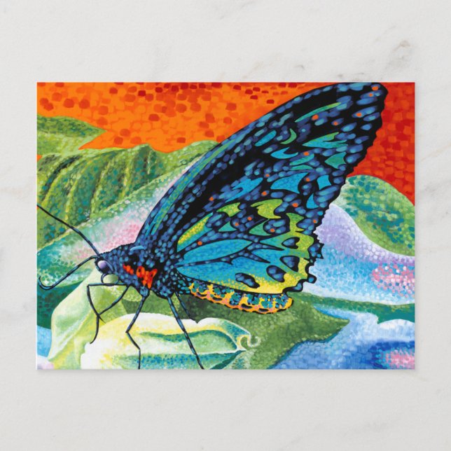 Poised Butterfly II Postcard (Front)