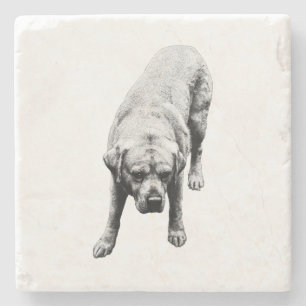 Poised Strength Stone Coaster