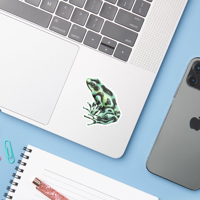 Poison dart frog (Laptop w/ iPhone)