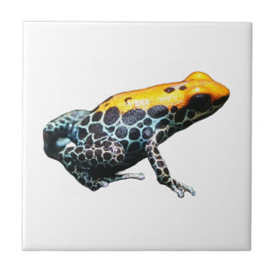 Poison Dart Frog Ceramic Tile