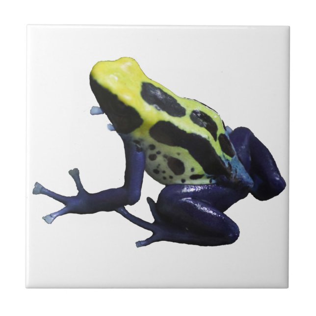 Poison Dart Frog Ceramic Tile (Front)