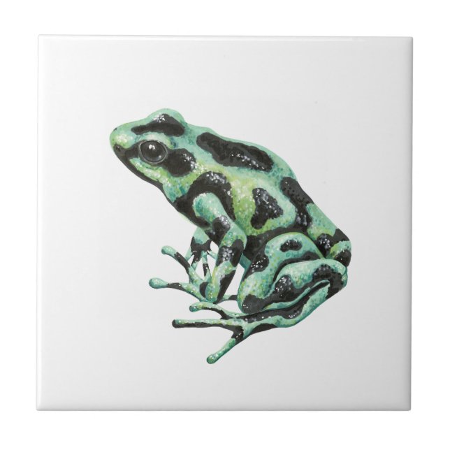 Poison dart frog ceramic tile (Front)