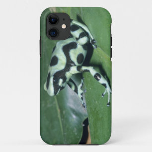 Poison Dart Frog, (Dendrobates auratus) Cahuita iPhone 11 Case