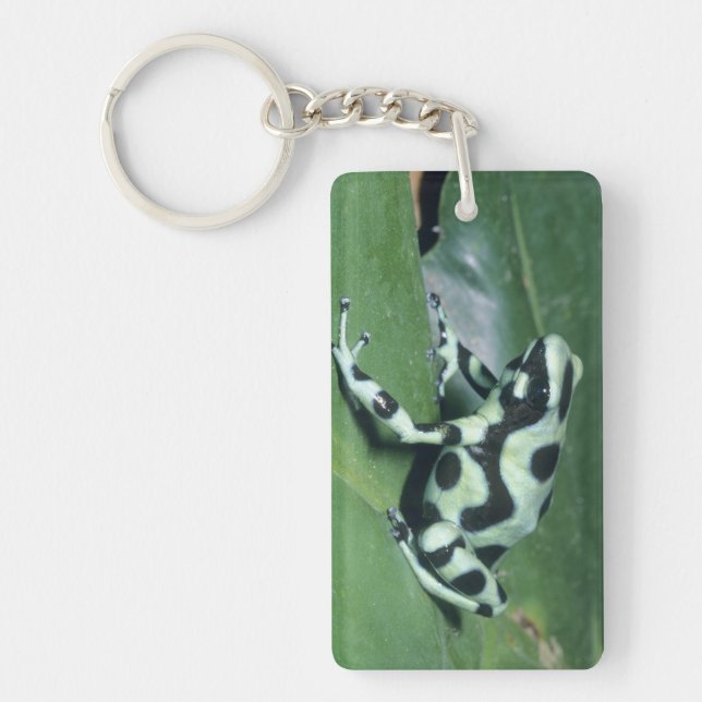 Poison Dart Frog, (Dendrobates auratus) Cahuita Key Ring (Front)