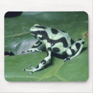 Poison Dart Frog, (Dendrobates auratus) Cahuita Mouse Pad