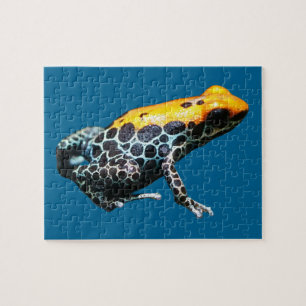 Poison Dart Frog Jigsaw Puzzle