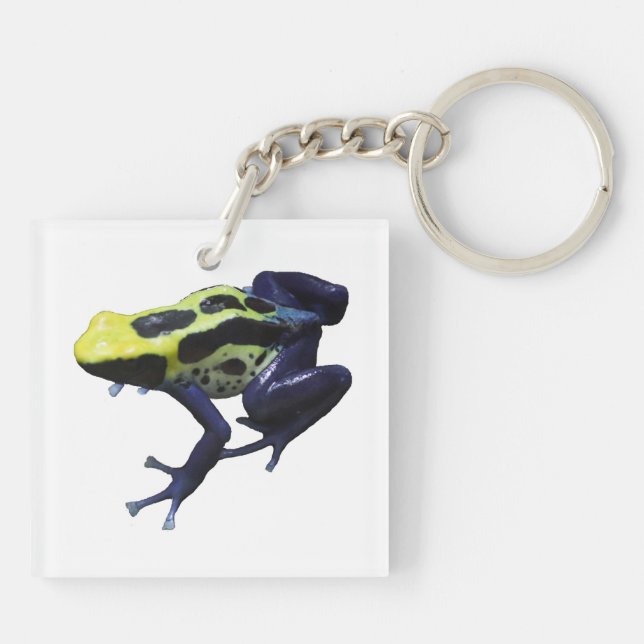 Poison Dart Frog Key Ring (Back)