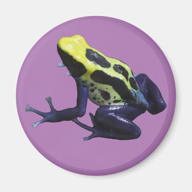 Poison Dart Frog Magnet (Front)
