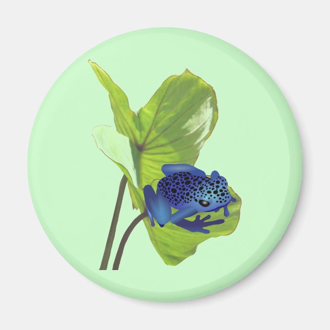 Poison Dart Frog Magnet (Front)