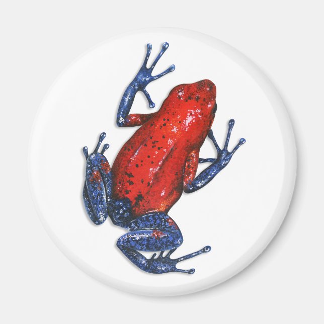 Poison Dart Frog Magnet (Front)