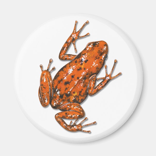Poison Dart Frog Magnet (Front)