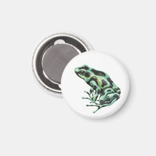 Poison dart frog magnet