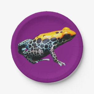 Poison Dart Frog Paper Plate